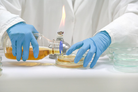 The Pour Plate method where in the sample is suspended in a petri dishの写真素材