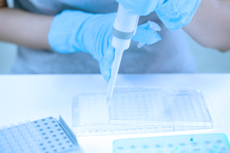 Scientist pipette dropping a sample into a test microtiter plate.の写真素材