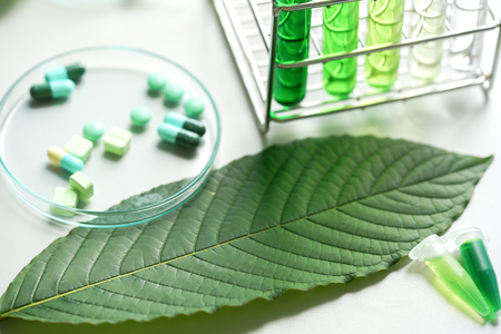 Mitragyna speciosa korth (kratom) drug plant with pills in the laboratory research.の写真素材