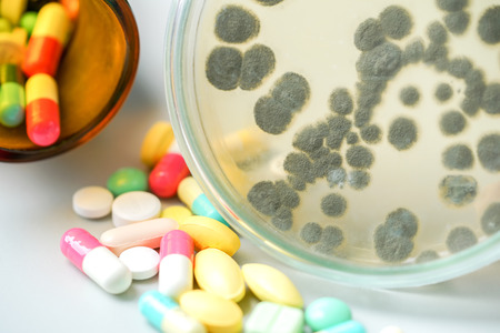 Medicine pills with Penicillium(mold), Ascomycetous fungi in laboratory.