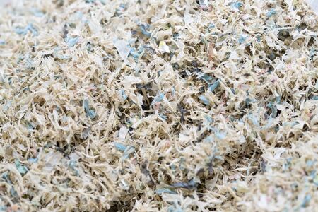 Plastic bag waste degradation for the recycled. Waste management conceptの写真素材