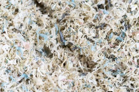 Plastic bag waste degradation for the recycled. Waste management conceptの写真素材