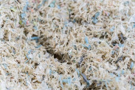 Plastic bag waste degradation for the recycled. Waste management conceptの写真素材