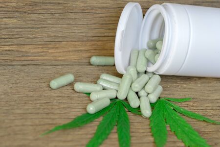 Cannabis(Drugs) marijuana leaf with capsule pill for healthy in medicine. Alternative medicine, Medical cannabis.の写真素材