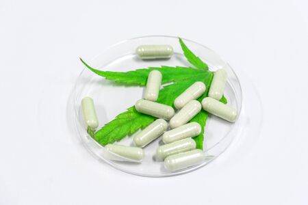 Cannabis(Drugs) marijuana leaf with capsule pill for healthy in medicine. Alternative medicine, Medical cannabis.の写真素材
