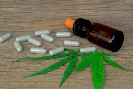 Cannabis(Drugs) marijuana leaf with capsule pill and cannabis oil extract for healthy in medicine. Alternative medicine, Medical cannabis.の写真素材