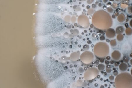 Penicillium fungis  under the microscopy for microbiology classroom education.