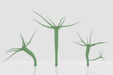 Hydra is of the phylum Cnidaria and class Hydrozoa of small fresh-water animals. 3D Illustration.の写真素材