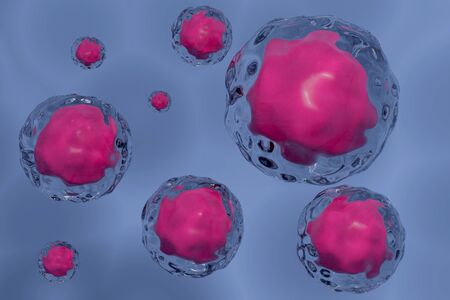 3D rendering Stem cells of the body under a microscope. Research of stem cells concept.の写真素材