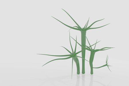 3D rendering Hydra is a genus of small fresh-water animals of the phylum Cnidaria and class Hydrozoa.の写真素材