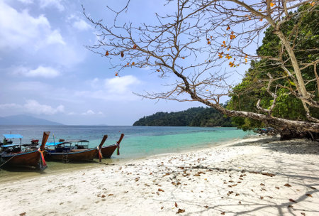 Lipe island, Koh Lipe, Satun province Thailand,The southern part of Thailandの写真素材