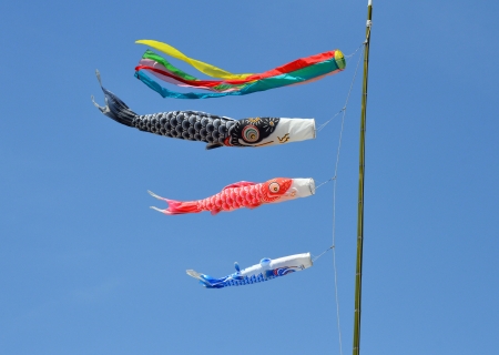 carp streamerの写真素材