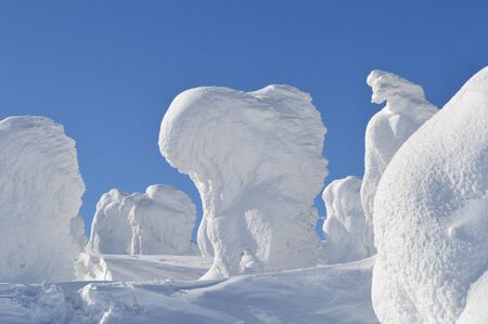 Ice Monsterの写真素材