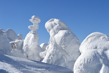 Ice Monsterの写真素材