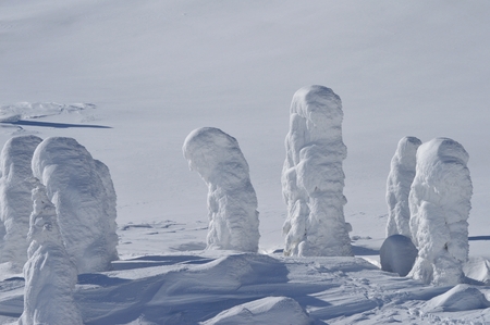 Ice Monsterの写真素材