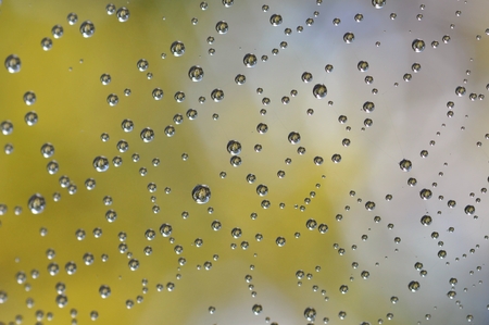 Water droplets
