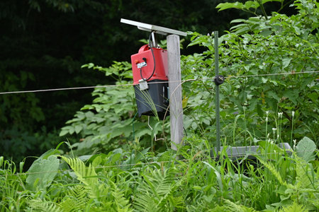 Electric fence to keep out wild boarsの写真素材