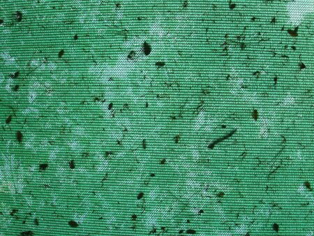 leaf on the green shading net, the net roofの写真素材