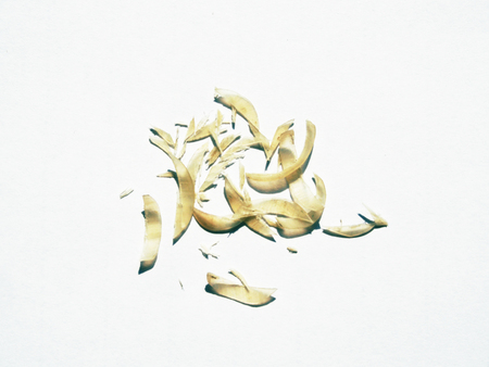 Pile of cut human nails isolated on white backgroundの写真素材