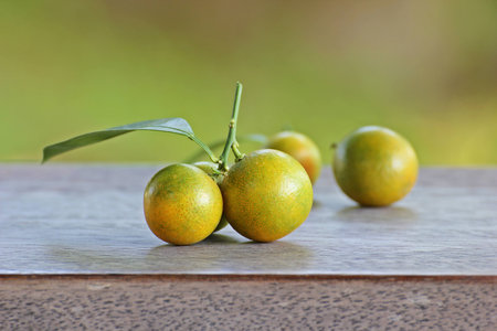 table and orange fruits to your decorationの写真素材