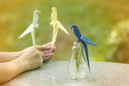making a origami birdの写真素材