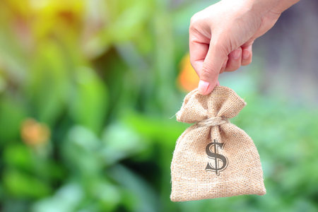 Female hand holding a sack of money for trading ideas. Or financial investment.の写真素材