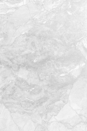 White marble texture abstract background pattern with high resolution. Black and whiteの写真素材