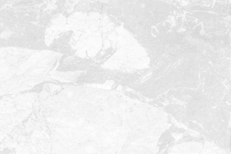 White marble texture abstract background pattern with high resolution. White and gray.の写真素材