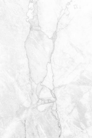 White marble texture background pattern with high resolution. White stone floor.の写真素材