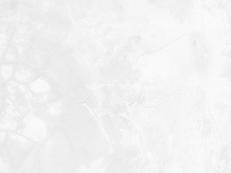 White grunge wall texture background. Abstract background for design. Monochrome.の写真素材