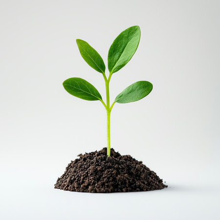 A young green sprout emerging from rich dark soil, symbolizing growth, renewal, and new beginnings in nature. The delicate leaves are vibrant and healthy, showcasing life's potential.の素材