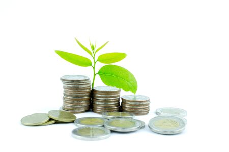 Sprout growing on coins in saving money conceptの写真素材