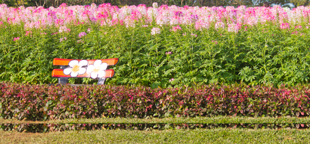 Chair in front of a background of natural flowers.の写真素材