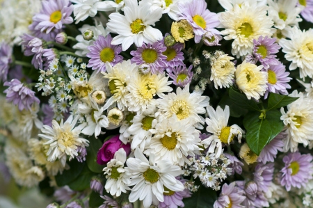 Flowersの写真素材