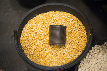 soybeanの写真素材