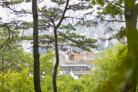 SEOUL,South Korea - MAY 24:Korea trees in city. MAY 24, 2016 in Seoul, South Koreaのeditorial素材
