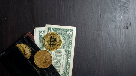 bitcoins on wallet  background
