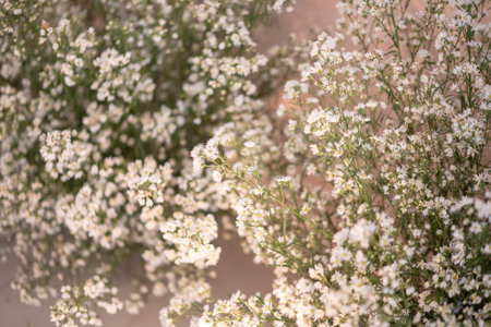 wedding backdrop with flower and wedding decorationの写真素材