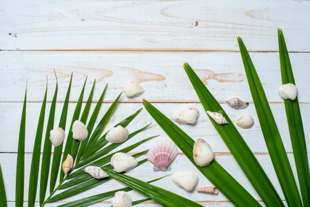 White  wood background , Summer  concept
