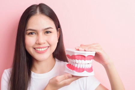 Beautiful woman is holding teeth artificial model for demonstration dental clean