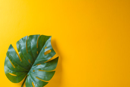 Tropical palm leaves on yellow background with copy spaceの写真素材