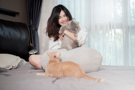 Beautiful asian  cat lover woman is playing with cat in her roomの写真素材