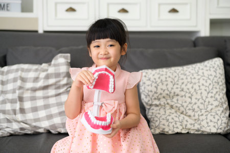 a Little cute girl is holding an artificial Dental Model Of Human Jaw indoors, education and health concept.の写真素材