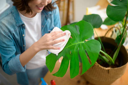 A top view of happy young beautiful woman enjoying  and relaxing leisure activity in garden at homeの写真素材