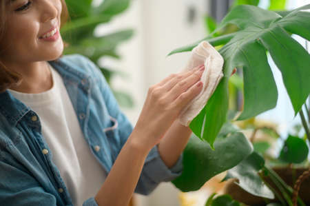 A happy young beautiful woman enjoying  and relaxing leisure activity in garden at homeの写真素材