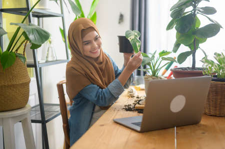 A young muslim woman entrepreneur working with laptop presents houseplants during online live stream at home, selling online conceptの写真素材