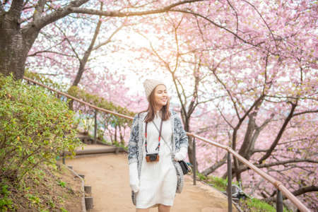 Attractive woman is enjoying  with  Cherry Blossom in Matsuda , Japanの写真素材