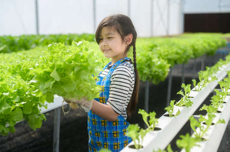 A happy cute girl learning and studying in hydroponic greenhouse farm, education and scientist conceptの写真素材