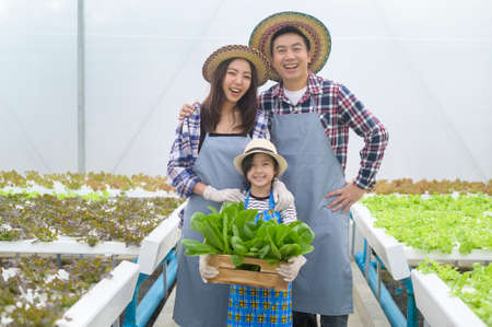 A happy farmer family working in hydroponic greenhouse farm, clean food and healthy eating conceptの写真素材