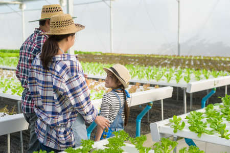 A happy farmer family working in hydroponic greenhouse farm, clean food and healthy eating conceptの写真素材